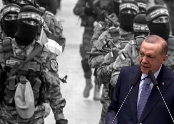 President Erdoğan calls Hamas a “liberation group”, vows to support Palestine throughout