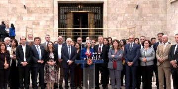 Green Left Party calls for democratic resolution of Kurdish question in Turkey