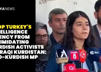 Stop Turkey’s intelligence agency from intimidating Kurdish activists in Iraqi Kurdistan: Pro-Kurdish MP
