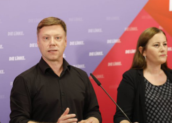 German Left Party protests Erdoğan’s Germany visit, condemns Turkish bombing in Syria