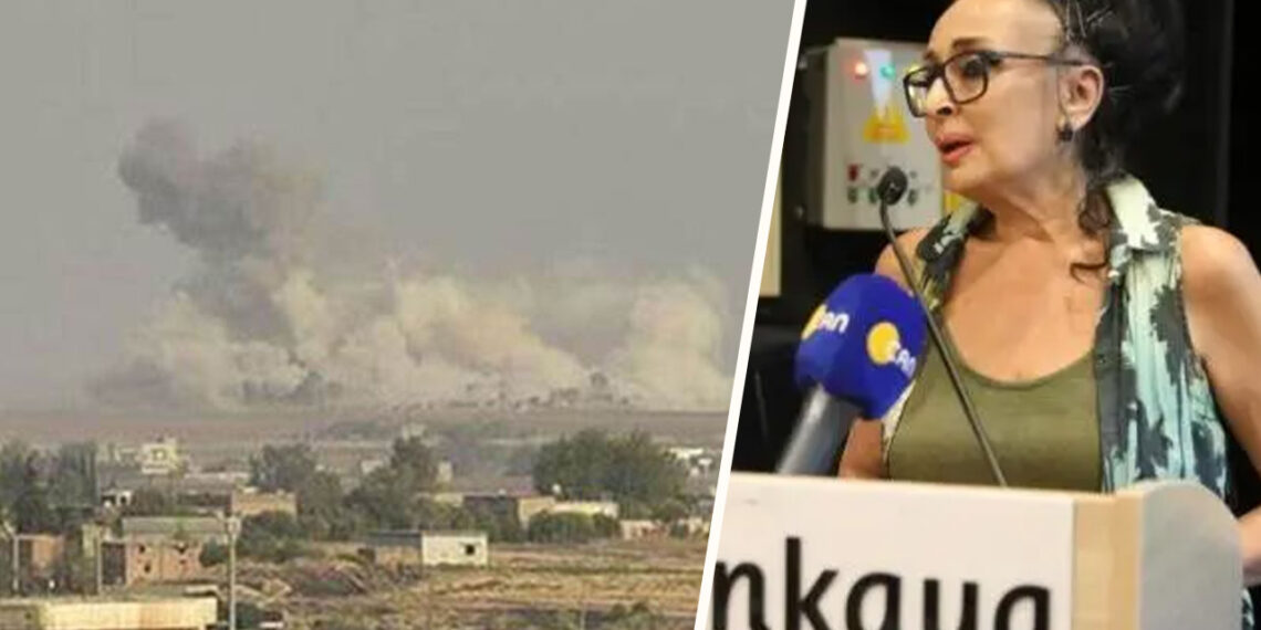 Turkey’s Human Rights Association addresses Kurdish question, peace