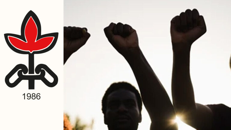 Human Rights Association documents alarming racism trends in Turkish media