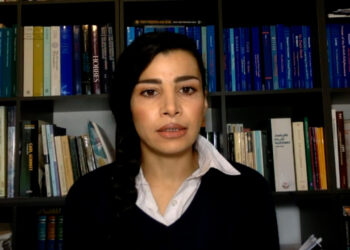 Kurdish scholar attributes global violence to patriarchy, capitalism, nation-state