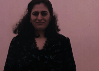 Kurdish women, youth must organise: Sebahat Tuncel