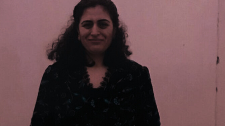 Kurdish women, youth must organise: Sebahat Tuncel