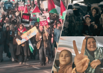 Global appeals for peace intensify as temporary ceasefire unfolds between Israel, Hamas