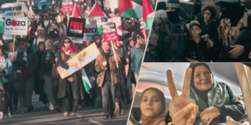 Global appeals for peace intensify as temporary ceasefire unfolds between Israel, Hamas