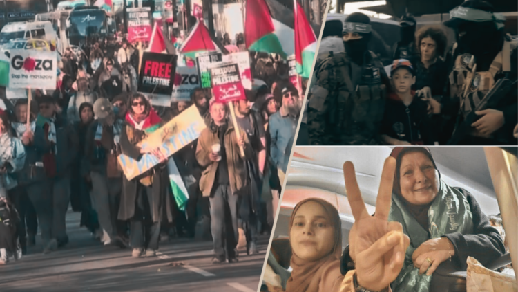 Global appeals for peace intensify as temporary ceasefire unfolds between Israel, Hamas