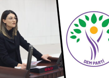 Turkish government drives ‘policy of poverty’ in Kurdish regions, says DEM party MPs