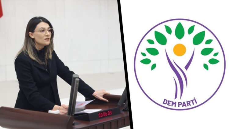 Turkish government drives ‘policy of poverty’ in Kurdish regions, says DEM party MPs