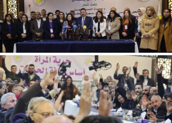 Syrian Democratic Council unveils internal changes, peaceful solution roadmap