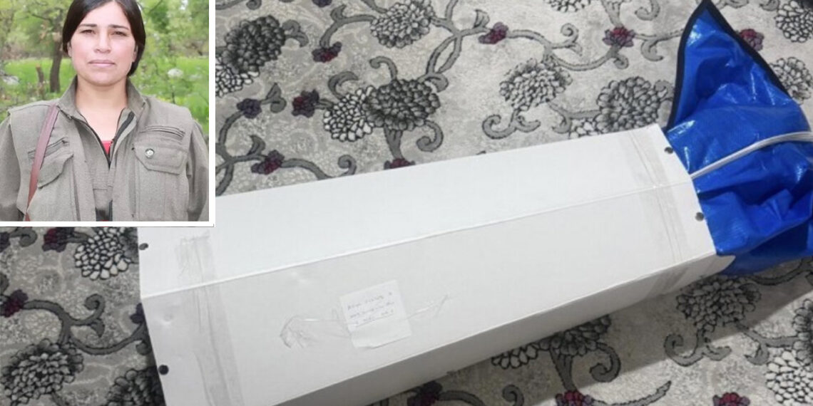 Slain Kurdish guerrilla’s remains delivered in cardboard box after five-year delay