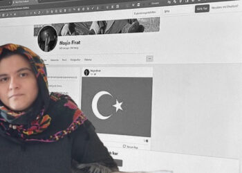 Kurdish woman ordered by court to share Turkish flag on social media