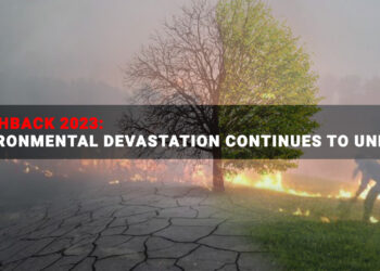 Flashback 2023: Environmental devastation continues to unfold