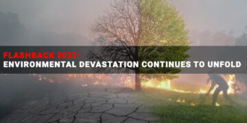 Flashback 2023: Environmental devastation continues to unfold