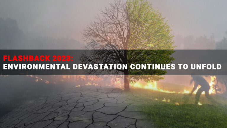 Flashback 2023: Environmental devastation continues to unfold
