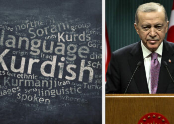 Scepticism and accusations of hypocrisy greet Erdoğan’s defence of mother tongue