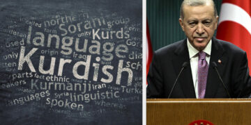 Scepticism and accusations of hypocrisy greet Erdoğan’s defence of mother tongue