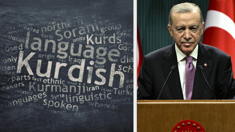 Scepticism and accusations of hypocrisy greet Erdoğan’s defence of mother tongue