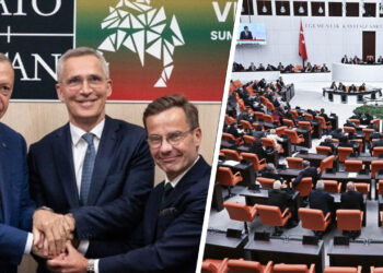Turkey approves Sweden’s NATO membership amid delays, diplomatic manoeuvring