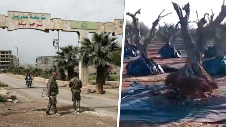 Report reveals surge in abductions in Turkish-held Afrin, northern Syria