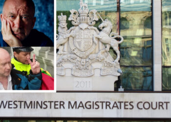 UK targets Kurds on Turkey’s behalf, says journalist facing terror charges