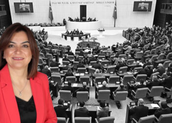 Kurdish MP addresses Turkish parliament: ‘Time for peace with Abdullah Öcalan as key addressee’
