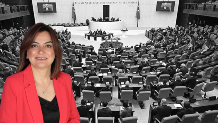 Kurdish MP addresses Turkish parliament: ‘Time for peace with Abdullah Öcalan as key addressee’