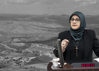 Unchecked corporate greed leads to deadly environmental crisis in Turkey: DEM Party