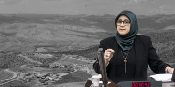 Unchecked corporate greed leads to deadly environmental crisis in Turkey: DEM Party