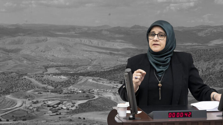 Unchecked corporate greed leads to deadly environmental crisis in Turkey: DEM Party