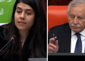 Kurdish language speech to celebrate Mother Language Day silenced in Turkish parliament