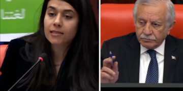 Kurdish language speech to celebrate Mother Language Day silenced in Turkish parliament