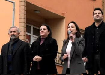 DEM Party Co-Chair challenges trusteeship, Kurdish language ban in Turkey