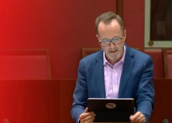 Senator calls on Australian government to condemn attacks on Kurds by Turkey, Iran