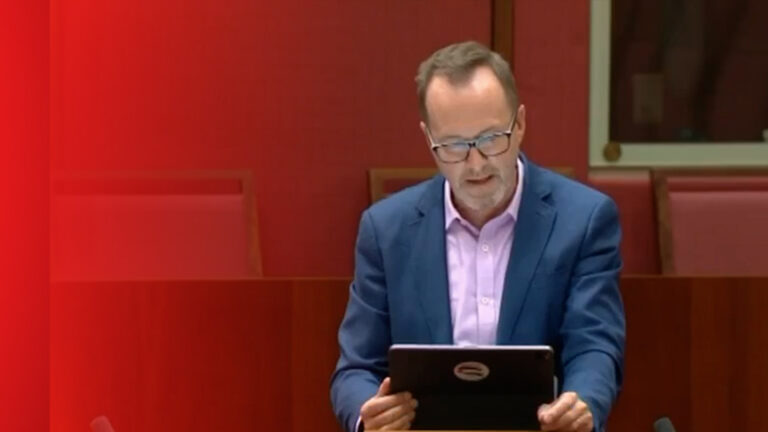 Senator calls on Australian government to condemn attacks on Kurds by Turkey, Iran
