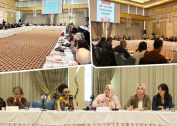 Exploring paths to peace: Insights from Kurdish issue conference