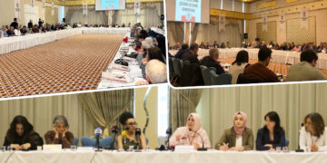 Exploring paths to peace: Insights from Kurdish issue conference