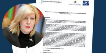 Council of Europe condemns ‘staggering’ repression in Turkey