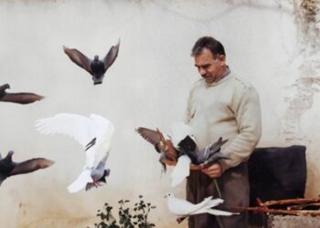 Imrali sets a concerning precedent for the treatment of prisoners in Turkey, says lawyer