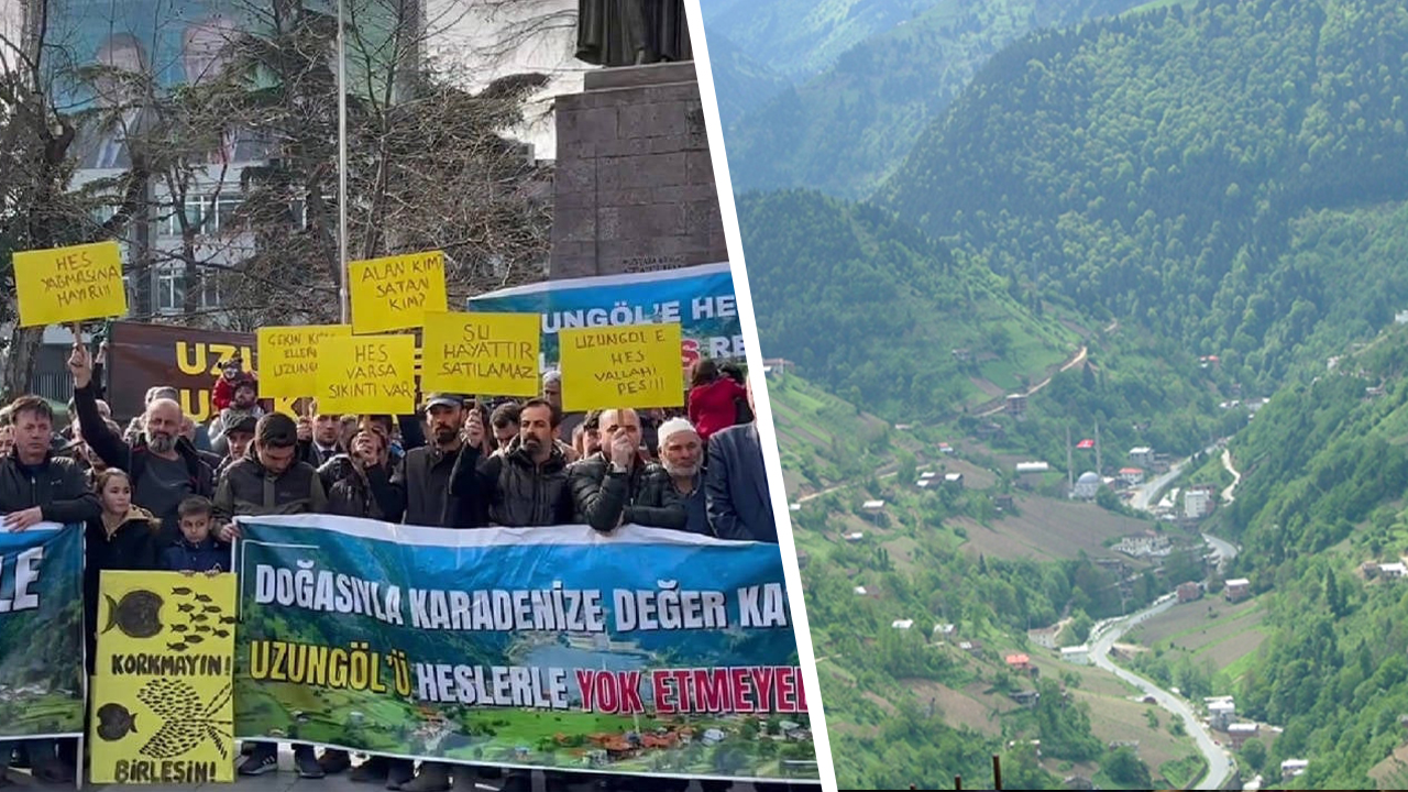 Türkiye'de önerilen barajın “şaşırtıcı” çevresel tehdidi