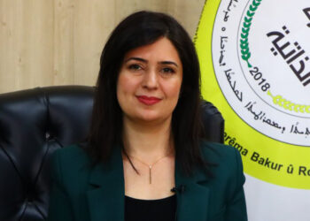 Talks between Kurdish-led autonomous administration and Damascus immature, says Avin Suwaid