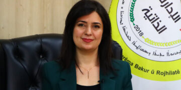 Talks between Kurdish-led autonomous administration and Damascus immature, says Avin Suwaid
