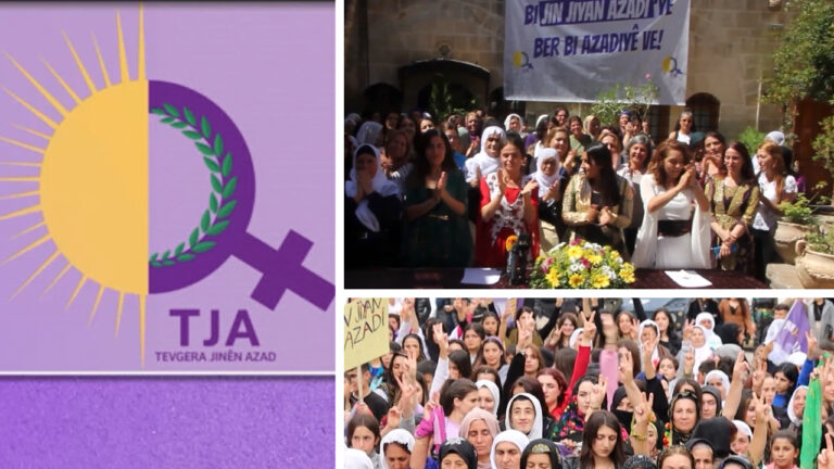 Attacks against co-mayor system defeated in elections: Free Women’s Movement