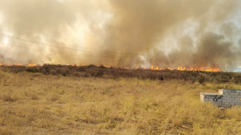 Turkey escalates efforts to destabilise northern Syria: Agricultural lands under Turkish strikes
