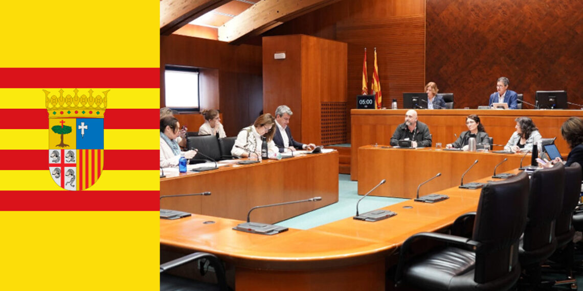 Spain’s Aragon Parliament hosts discussion on Kurdish rights, Öcalan’s isolation