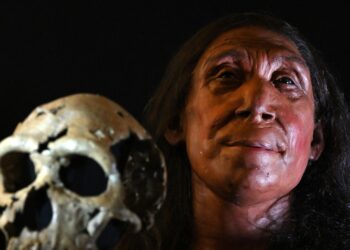 Scientists reconstruct face of Neanderthal woman found in Iraqi Kurdistan