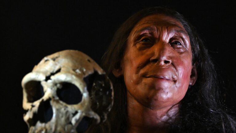 Scientists reconstruct face of Neanderthal woman found in Iraqi Kurdistan