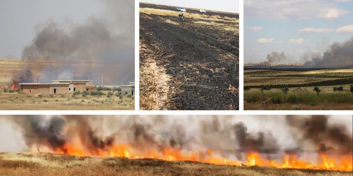 Turkish shelling leads to widespread crop destruction in North and East Syria