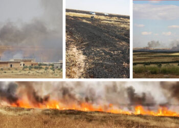 Turkish shelling leads to widespread crop destruction in North and East Syria